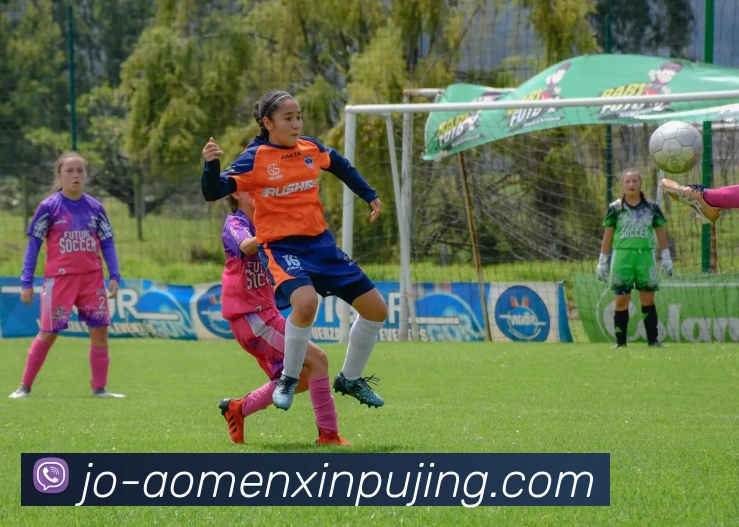 多媒体互动体验