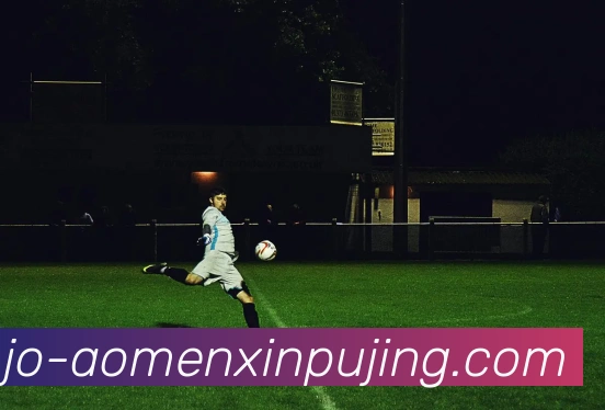 澳门新葡京娱乐APP 体育赛事宣传图